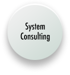 System Consulting